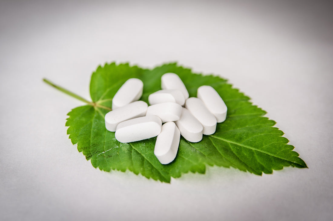 VasoCorp Neuropathy Supplements